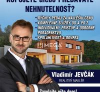 Werbung für eine Immobilienagentur mit einem modernen Einfamilienhaus und den Kontaktdaten des Maklers.