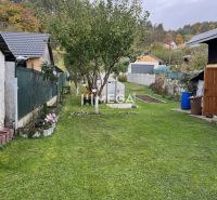 Der Garten im Einfamilienhaus in der Jesenského-Straße in Snina mit Rasen und Obstbäumen.