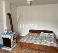 Ein Zimmer in einem Einfamilienhaus mit einem Bett und einem Boden in Holzoptik.