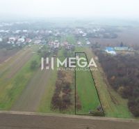 Luftaufnahme von landwirtschaftlichen und forstwirtschaftlichen Flächen in Pusté Čemerné in der Straße Pusté Čemerné.