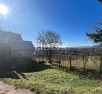 Ein sonniger Tag im Dorf Viničky mit einem Einfamilienhaus und einem Weinberg in der Straße Viničky.