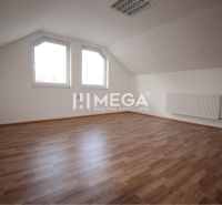 Ein Raum mit einem Holzboden und einer schrägen Decke in Geschäftsräumen.