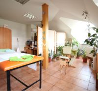 Geschäftsräume mit Blumen, Massagetisch und Möbeln, Boden mit Fliesen.