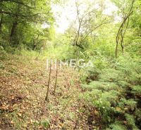 Waldweg auf dem Wohngrundstück in der Šípková-Straße, Košice IV, umgeben von Grün.