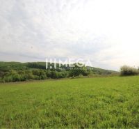 Grundstücke - Wohnen in der Umgebung von Vyšný Kazimír, grüne Wiese mit Waldkulisse unter bewölktem Himmel.