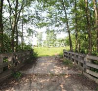 Waldweg über eine Brücke, umgeben von Grün in Ptičí, Grundstücke - Wohnen.