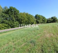 Grünflächen und Straßen auf Grundstücken für Wohnzwecke in Snina in der Hámorská-Straße.