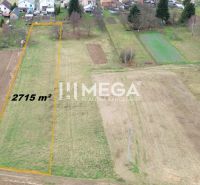 Panoramablick auf ein Baugrundstück in Zemplínske Hámre, geeignet für Wohnzwecke, Fläche 2715 m².