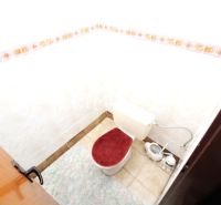 Toilette in einem Einfamilienhaus mit Teppich und dekorativer Wandverkleidung.