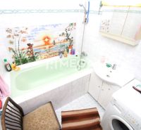 Badezimmer mit grüner Badewanne und Waschmaschine in einem Einfamilienhaus, Dekor tropischer Landschaft auf den Fliesen.