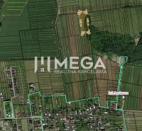 Die Luftkarte zeigt landwirtschaftliche und forstwirtschaftliche Flächen in Lackovce mit den Umrissen der Parzellen.