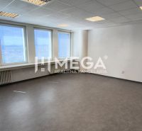 Geräumige Büros mit mehreren Fenstern und einem Boden in Holzoptik.