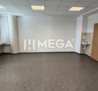 Ein geräumiges Büro mit Holzboden, Waschbecken und großen Fenstern.