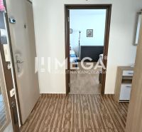 Flur in einer 4-Zimmer-Wohnung mit Türen, Holzboden, Spiegel, Möbel.