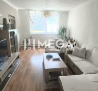 Wohnzimmer in einer 4-Zimmer-Wohnung mit Sofa, Fernseher und Holzboden.