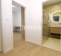 Flur in einer 3-Zimmer-Wohnung mit sichtbarem Badezimmer und Boden in Holzoptik.