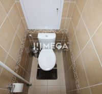 Toilette mit Fliesen in einer 3-Zimmer-Wohnung, abgestimmte Farben der Fliesen.