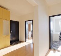 Eingangsbereich einer 3-Zimmer-Wohnung mit großem Schrank und Boden in Holzoptik.