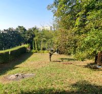 Garten mit Rasen und Bäumen in Košice in der Ul. 1 mája, Krásna.