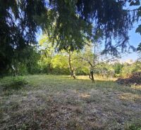 Der Garten in der Šípková-Straße in Košice, im Stadtteil Krásna, mit dichtem Grün und Bäumen.