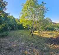 Garten in Košice - Stadtteil Krásna in der Šípková-Straße mit Obstbäumen.