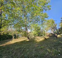 Gärten in der Šípková-Straße in Košice, Stadtteil Krásna, voller grüner Bäume.