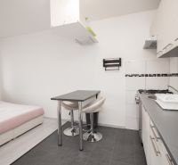 Küche und Essbereich mit Sofa in einer 2-Zimmer-Wohnung, Boden mit Holzdekor.