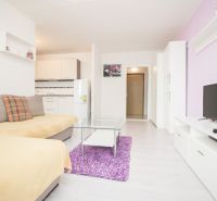 Wohnzimmer in einer 2-Zimmer-Wohnung mit Sofa, Fernseher und Küchenzeile.
