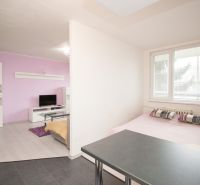 Helles Zimmer in einer 2-Zimmer-Wohnung mit violetter Wand, Fernseher und Sofa.