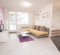 Wohnzimmer in einer Zweizimmerwohnung mit Sofa, Fernseher und Holzboden.