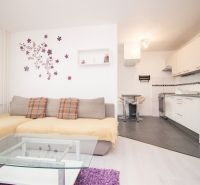 Wohnzimmer und Küche in einer 2-Zimmer-Wohnung mit Sofa und Esstisch.