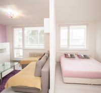 Wohnzimmer mit Sofa und Fernseher, daneben befindet sich ein Bett in einer 2-Zimmer-Wohnung.