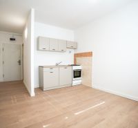 Küchenzeile mit Einbauherd in einer Einzimmerwohnung, Boden mit Holzdekor.