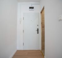 Weißer Eingang mit Holzboden in einer Einzimmerwohnung.
