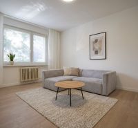 Wohnzimmer in einer Einzimmerwohnung mit Sofa, Teppich und Holzboden.
