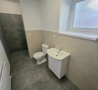 Badezimmer in einer 2-Zimmer-Wohnung mit Toilette, Waschbecken und Duschkabine ohne Abtrennung.