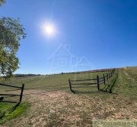 Ein sonniger Tag in den Gärten von Pastuchov mit einem Zaun und üppiger Natur.