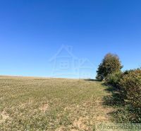 Bäume und Felder in den Gärten bei Pastuchov unter blauem Himmel.