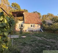 Eine Hütte in Nové Zámky mit Terrasse, umgeben von Natur und Weinbergen vor dem Hintergrund eines Waldes.