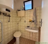 Badezimmer in einem Einfamilienhaus mit Toilette, Fliesen und Fliesen im Retro-Stil.