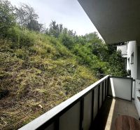 Balkon einer 2-Zimmer-Wohnung mit Blick auf einen Hang mit dichtem Bewuchs.