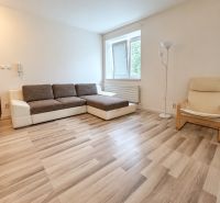 Einzimmerwohnung mit Sofa, Sessel und Holzboden, helle Wände.