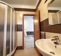 Badezimmer in einem Studio-Apartment mit Waschbecken, Duschkabine und braun-beigen Fliesen.