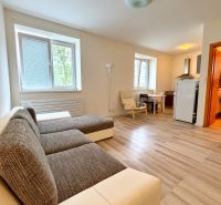 Einzimmerwohnung mit Holzboden, Sofa und Küchenzeile.