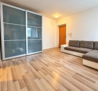 Einzimmerwohnung mit Holzboden, Einbauschrank und bequemer Couch.