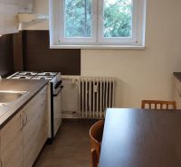 Küche in einer Einzimmerwohnung mit Gasherd und Mikrowelle auf dunkler Küchenzeile.