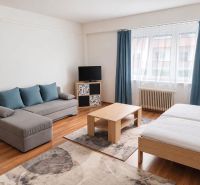 Einzimmerwohnung mit Sofa, Bett, Fernseher, Tisch und Boden in Holzoptik.