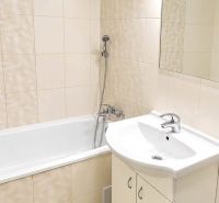 Badezimmer in einer Einzimmerwohnung mit Badewanne, Waschtischunterschrank und grünen Fliesen.