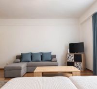 Ein stilvoller Wohnbereich in einer Einzimmerwohnung mit einem Sofa und einem Fernseher, Boden mit Holzdekor.