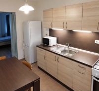Küche in einer Einzimmerwohnung mit Holzdekor, Herd und Esstisch.